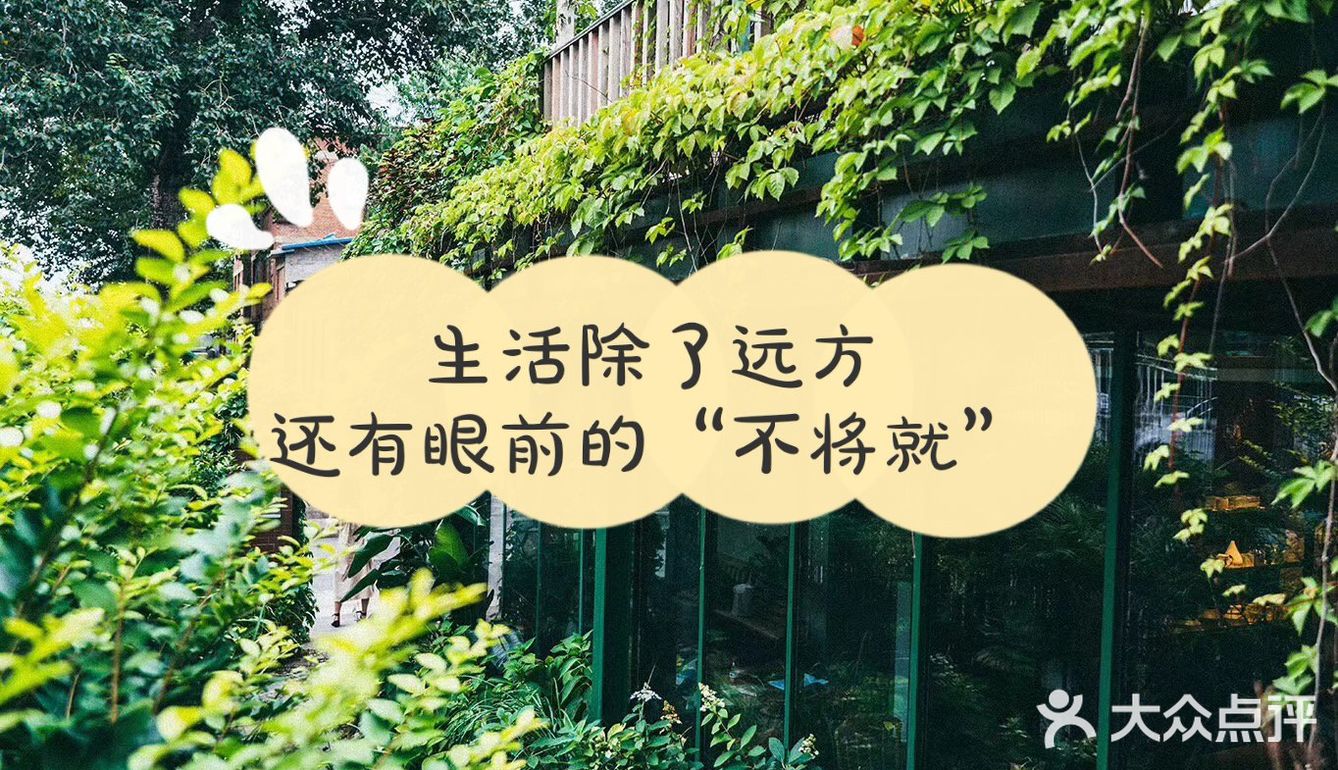 生活除了远方，还有眼前的“不将就”