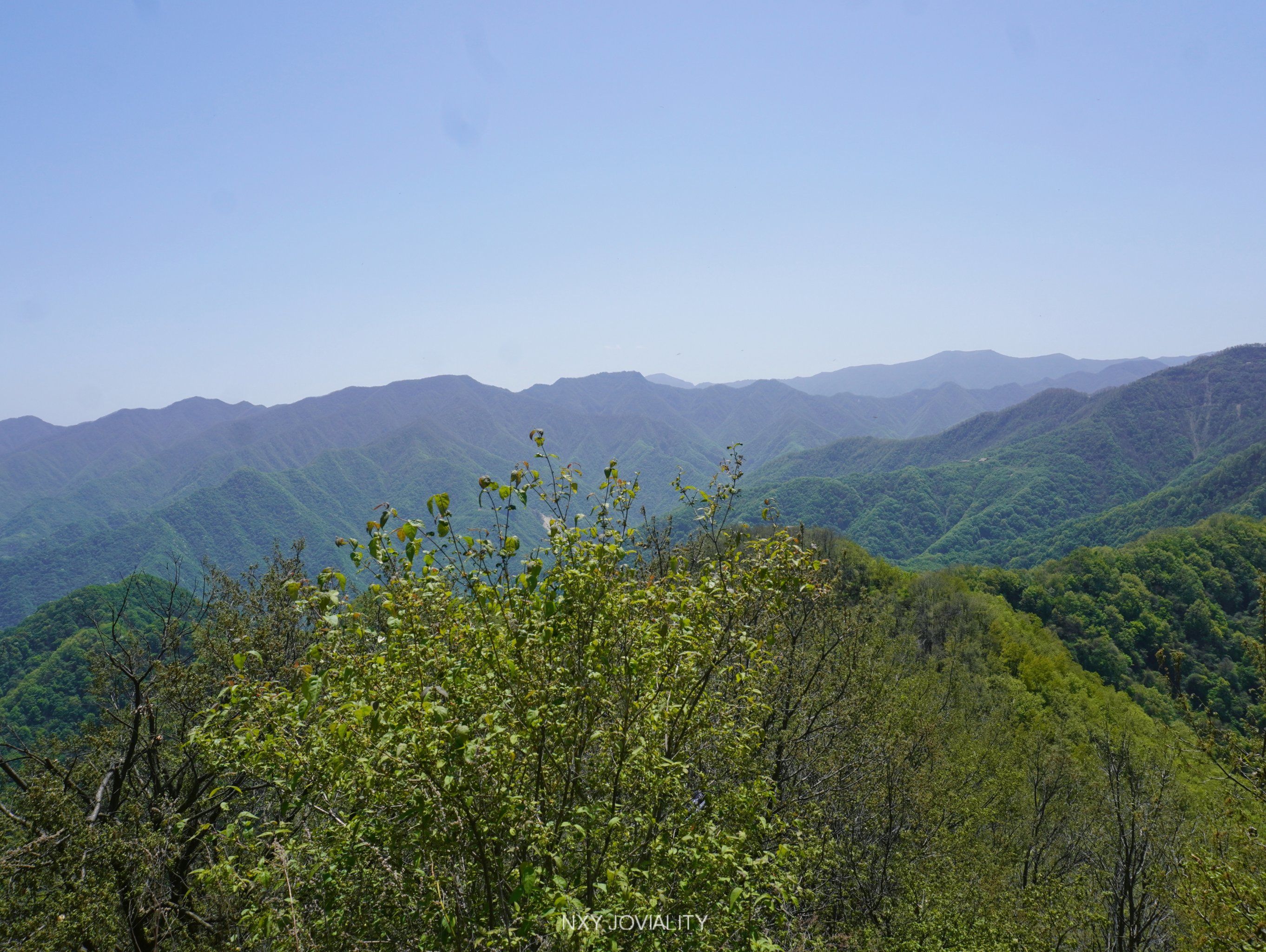 你愿意为了一个镜头跋涉多久90
「翠峰山森林公园」