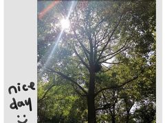 -紫颐香薰山谷景区