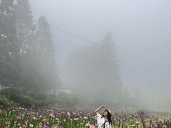 -山王坪喀斯特国家生态公园