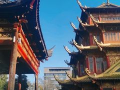 -龙潭水乡