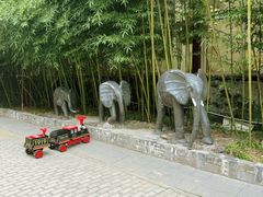 -呀路古热带植物园
