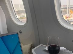 -海南海航航空信息系统公司