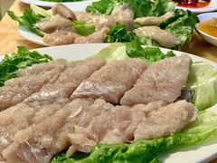 -金砂阿洲鱼册店