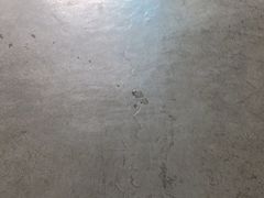 -东莞市光明中学