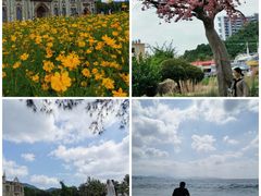 -玫瑰海岸文化旅游度假区