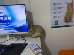 -佳雯宠物医院·皮肤科·内外科(春晓路分院)