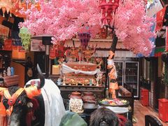 -吉祥圣雪藏餐