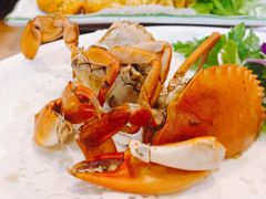 葱姜炒蟹-友强·23年特色海鲜大排档(厦门店)