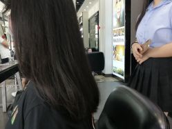 -风向标WIND VANE SALON