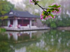 -莫愁湖公园