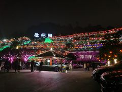 -枇杷园食为鲜火锅(南山店)