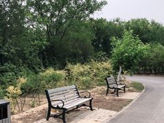 -永定河休闲森林公园