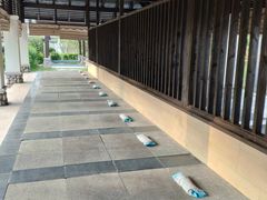 -河源万绿湖美思威尔顿酒店