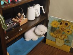 -默迹咖啡馆