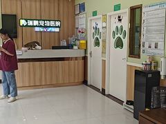 -瑞鹏宠物医院·夜间急症·心超·猫科(祖庙分店)