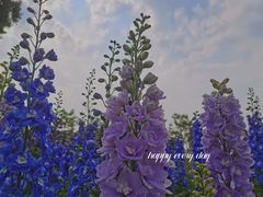 -花博汇(知音花月夜)