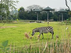 -宁波野生动物园
