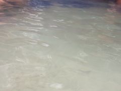 -碧水湾温泉