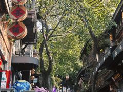 -重庆十八梯传统风貌区