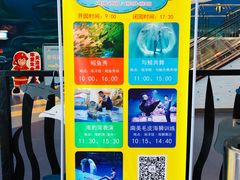 -芜湖新华联大白鲸海洋公园