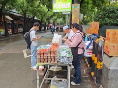 -马文章胖子甑糕(洒金桥店)