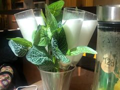 -探窝·竹笙椰子鸡(杨箕店)