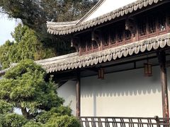 -江心屿景区