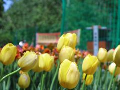 -长春公园(普阳街道)