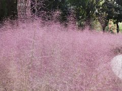 -苏州河梦清园环保主题公园