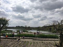 -白鹭湾湿地公园