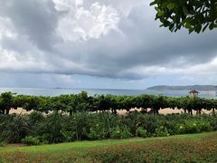 -三亚亚龙湾天域度假酒店