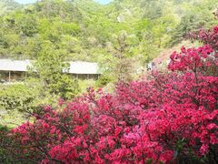 -木兰云雾山