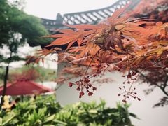 -个园
