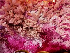 -杭州西湖星空魔幻城(星空艺术馆品牌旗舰店)