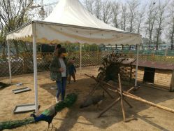 -萌宠亲子动物乐园(槐房万达店)