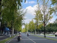 -四川大学博物馆
