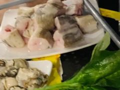 曼鳞鱼-鑫龙火锅城(青岛分店)