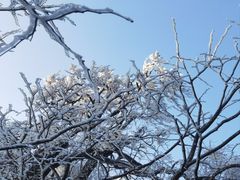 -张家界天门山国家森林公园
