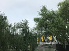 -西湖文化广场