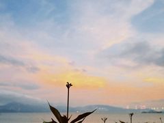 -滨力健身俱乐部