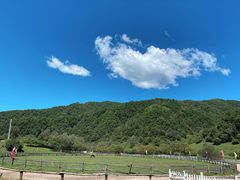 -大水川景区