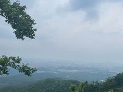 -紫金山山顶公园