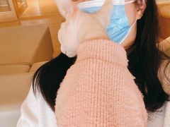 -猫腻·猫咖·撸猫馆(星光大道店)