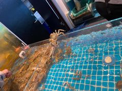 -九月海·海鲜自助(世纪东方店)