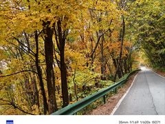 -三块石国家森林公园