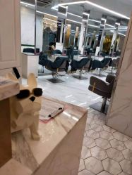 -潘多拉Hairsalon