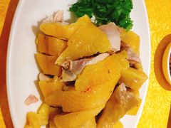 -黄B湛江鸡饭店(粤垦路店)