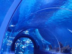 -成都浩海立方海洋公园