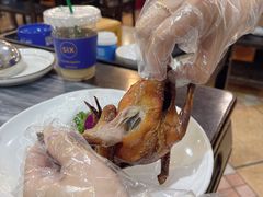 -鸽鸟轩(石岐店)